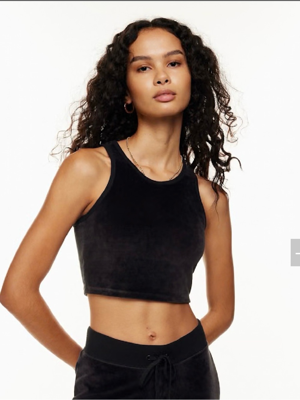 24. Aritzia Sunday Best Honor Velvet Crop Tank Top Size S